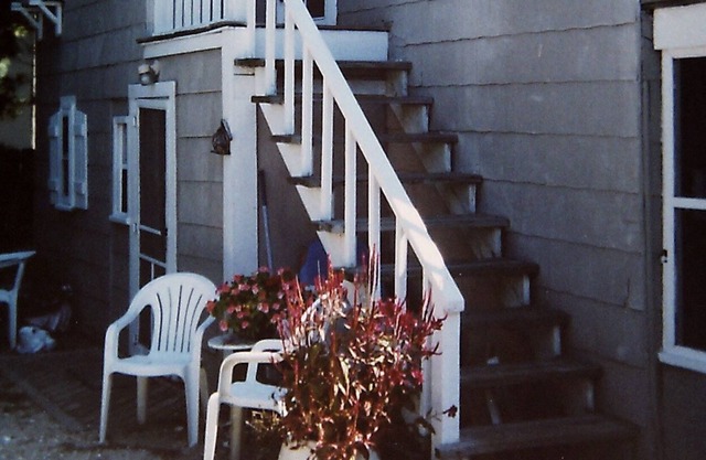 Great Family Get-Away/Pet Friendly - see our downstairs apt #4363036