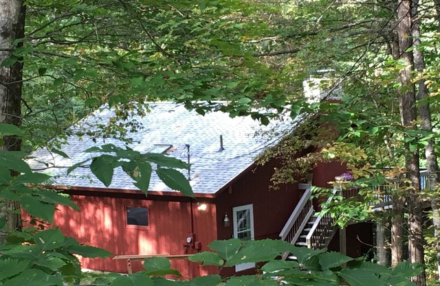 Great Summer and Winter Cabin (weekly only)