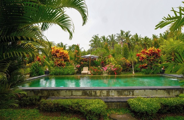 Green Coconut Cottage