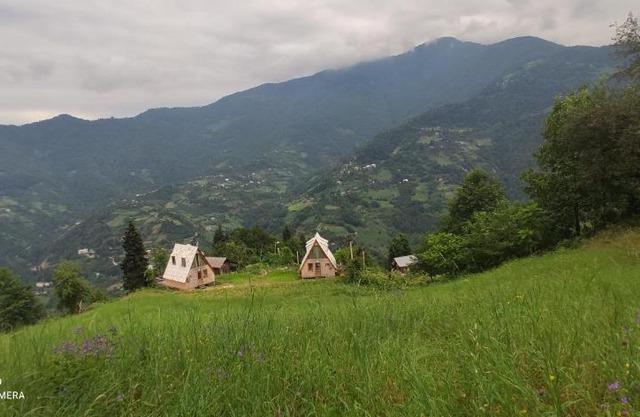 GREEN GUNDAURI