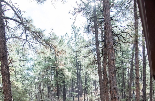 Guest house with deck in the forest west of Prescott, king bed, dog friendly