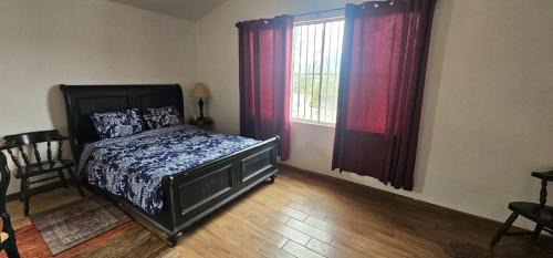 Guest Studio near Businesses and Markets