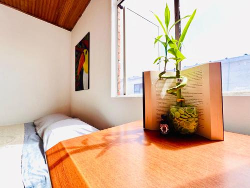 Habitaciones Tranquilas Embajada de México