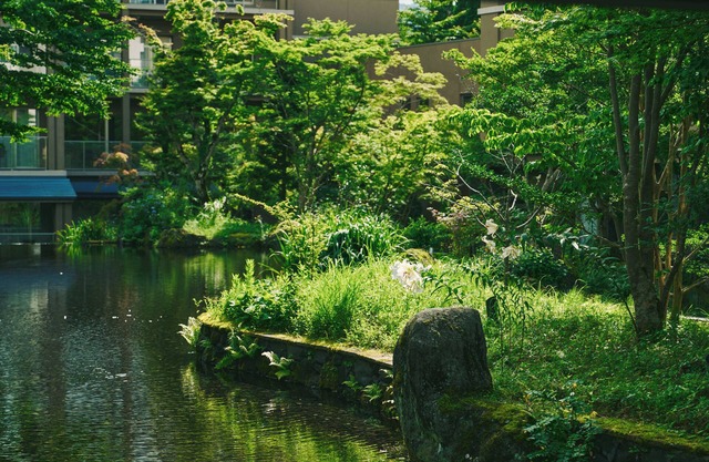 Hakone Hisui