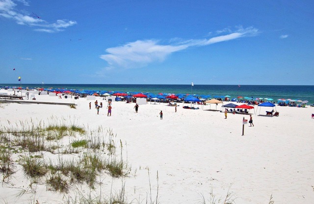 Hammock Dunes J