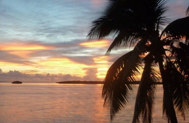 Harbour Tower #116 SUNSHINE...SUNSETS...STEPS FROM THE BEACH…RENOVATED 2 BED CONDO