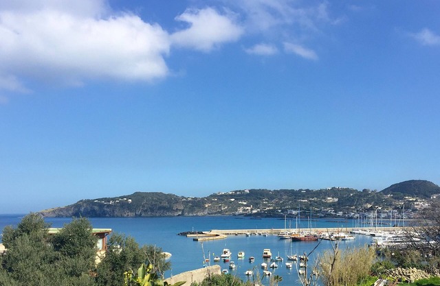 Harbour View