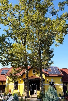 Harmónia Apartmanház