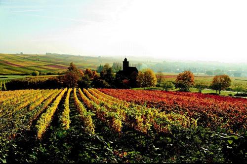 Haus am Kastanienwald