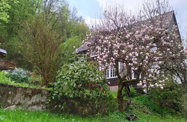Haus am Wald Zorge 16+ Gäste