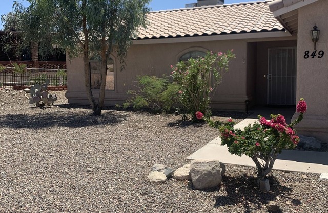 Havasu Lake View Home - Enjoy the outside