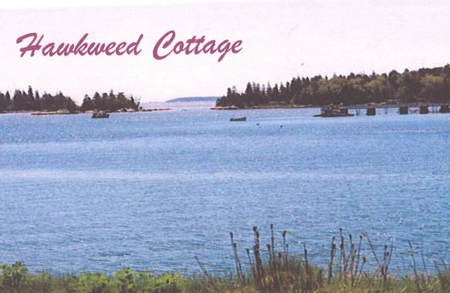 Hawkweed Cottage on the Water - Salt Air and Sunshine!