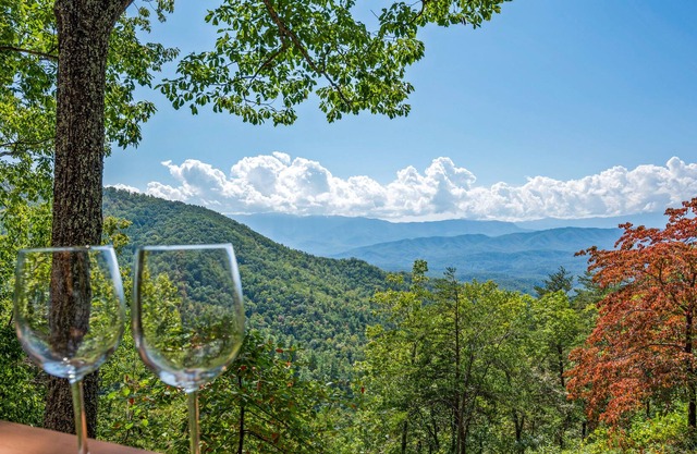 Heavenly Views Cabin - With Hot Tub and Mountain Views!