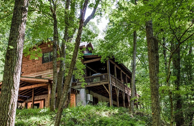 Hidden Cove Cabin: Cabin Near Downtown AVL! Hot Tub, Game Rm!