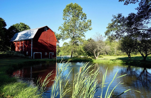 Historic 5-Acre Farmhouse: Hot Tub, Fishing Pond, Bikes, Arcade, Pet-Friendly!