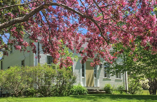 Historic cape with modern updates - walk to Rockport center & water