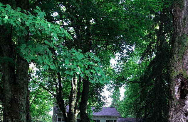 Historic Farmhouse on 100 acres