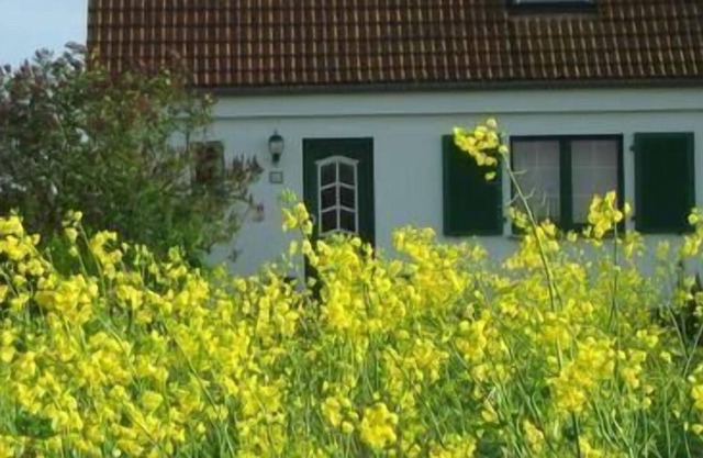 Holiday apartment Lüdershagen for 1 - 4 persons with 1 bedroom - Holiday apartment