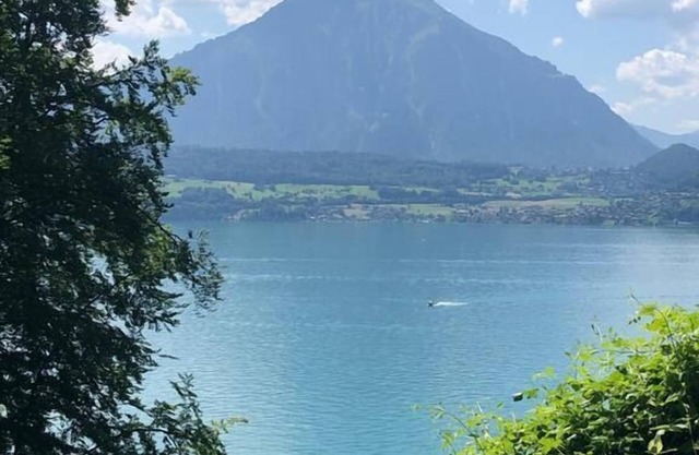Holiday apartment Merligen for 2 persons with 1 bedroom - Holiday apartment