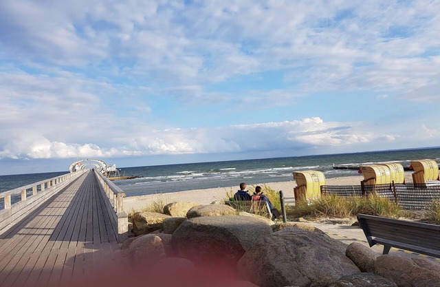 Holiday between forest and waves