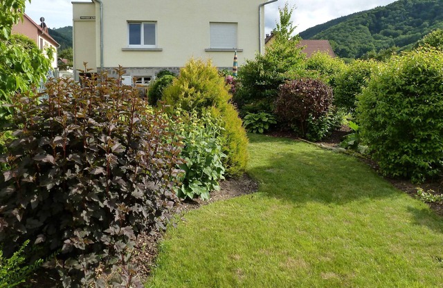 Holiday cottage - Very Nice Benefits