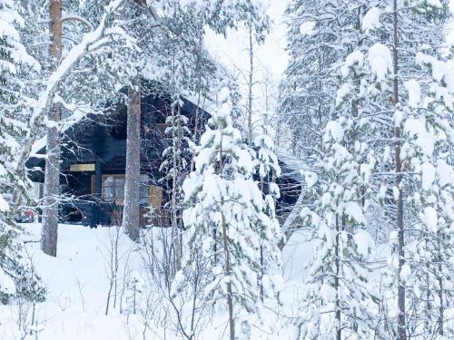 Holiday Home Tievankivi by Interhome