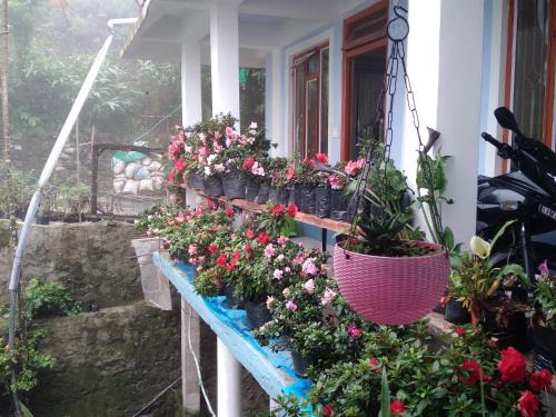 Holiday Homestay Kalimpong