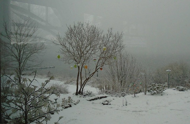 Holiday house only 20 m to Plauer See - holiday home in a fantastic location directly on Lake Plau - 20 m