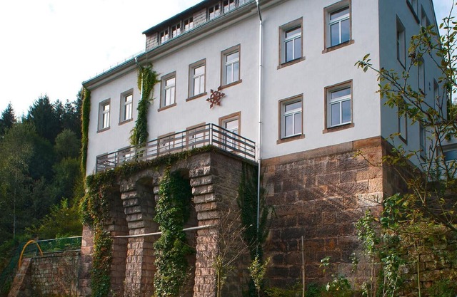 Holiday house Reinhardtsdorf for 1 - 28 persons with 12 bedrooms - Holiday house
