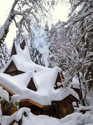 Holiday Park Zelenkovac