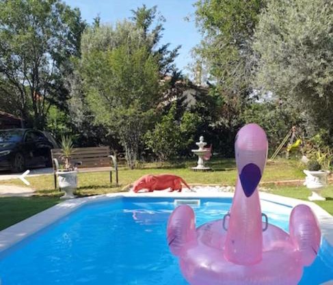 Hollidays home piscine et jardin