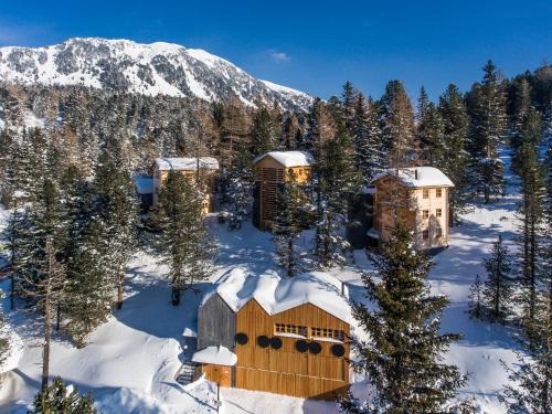 Hollmann am Berg Ski-in Ski-out