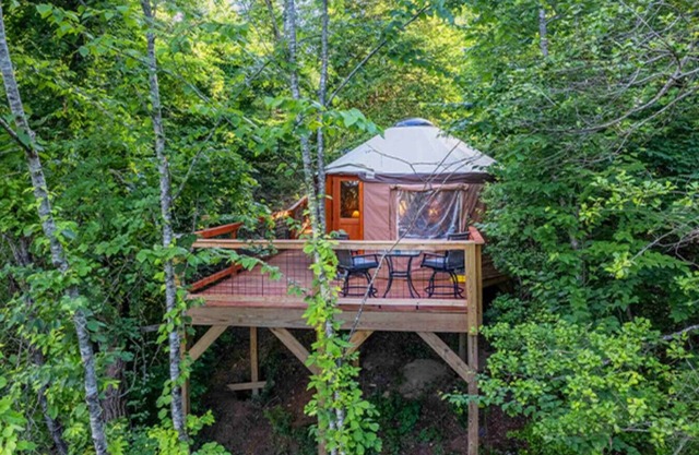 Holly Hideaway, Cozy Yurt, Pet Friendly, and Trails!
