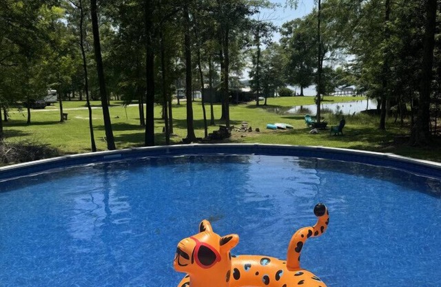 Home w/Pool, Sups, and more near Dreher Island
