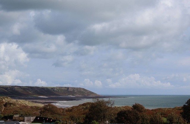 Homely Gower coastal property