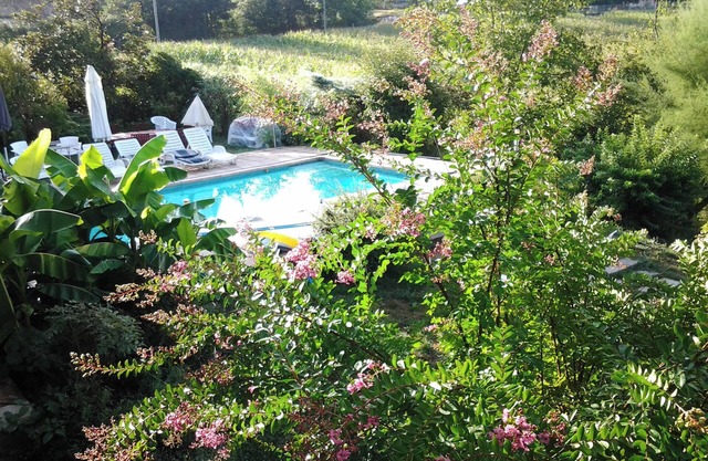 Homerez - Apt with pool near St-Étienne