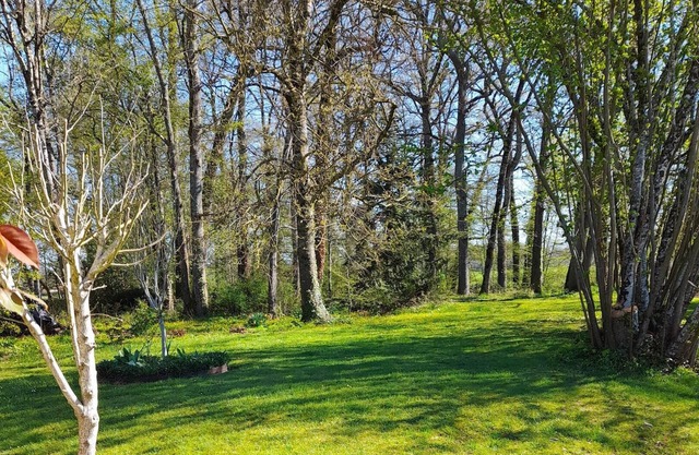 Homerez - Spacious house for 5 ppl. with garden at Allemans