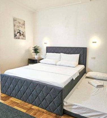 Homey & spacious with private plunge pool ktv near SMtela