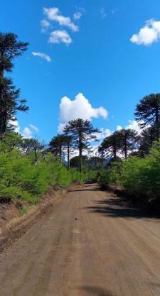 Hospedaje de montaña Rincón Conguillío