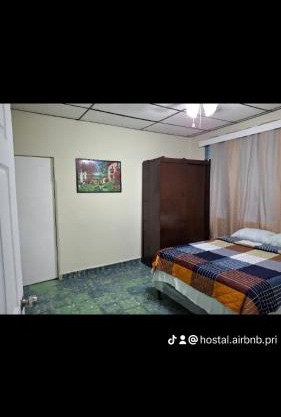 Hostal primaveras nest