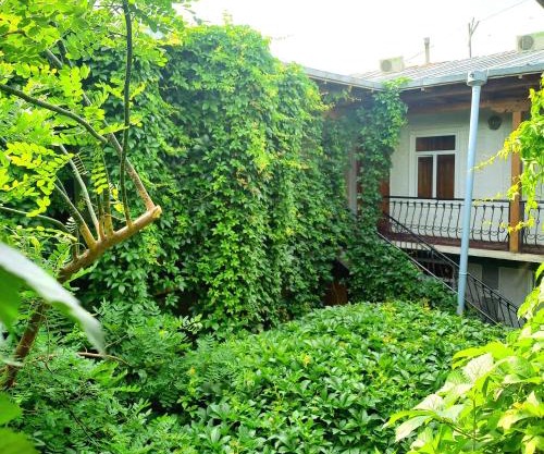 Hotel Botanical