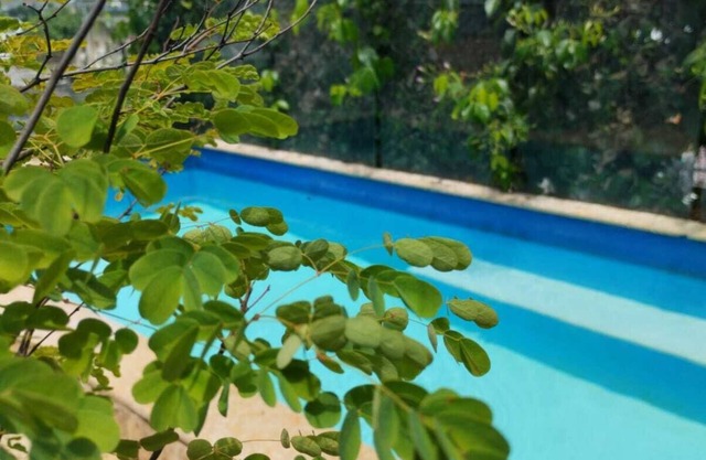 Hotel Casa Ebano 967
