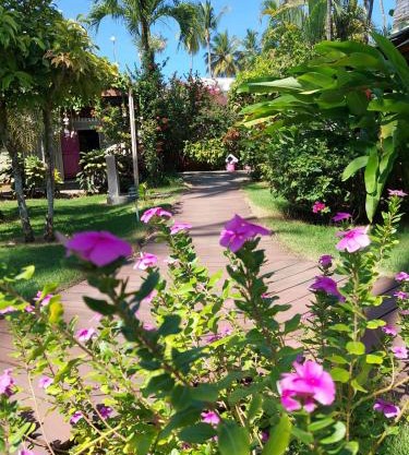 Hotel Casa Robinson
