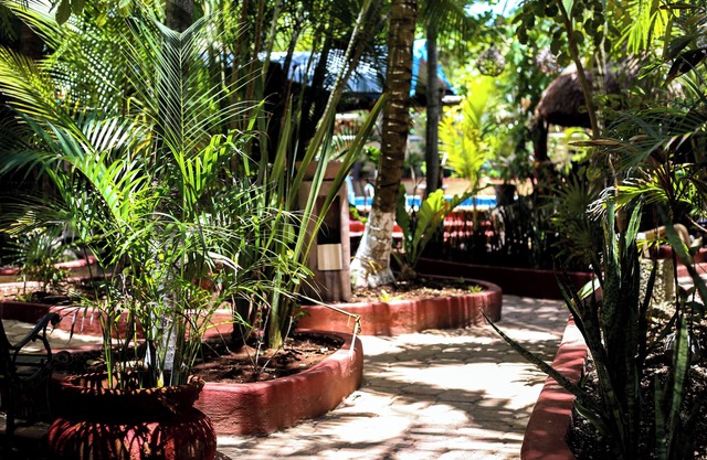 HOTEL COCOS CABAÑAS - QUEEN BOUTIQUE AMARILLA
