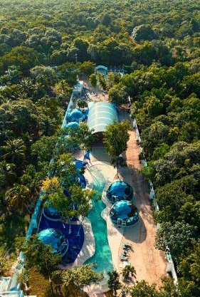 Hotel Glamping Horizonte Maya