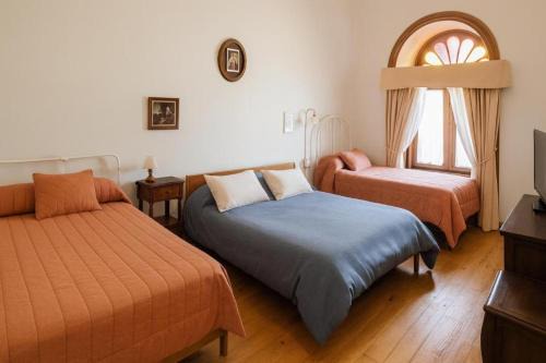 Hotel Halley - Vicuña, Valle de Elqui