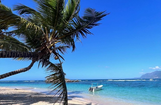 Hotel La Tortuga