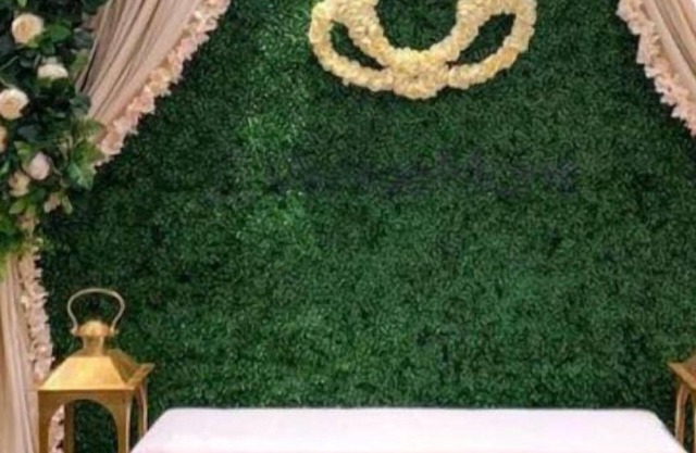 Hotel Vibrant Lawn And Banquet
