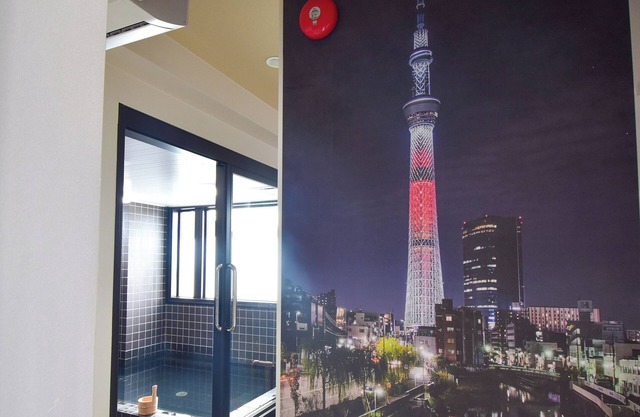 HOTEL WINDS ASAKUSA Capsule Inn - Hostel