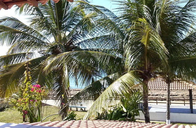 House by the sea of Serrambi